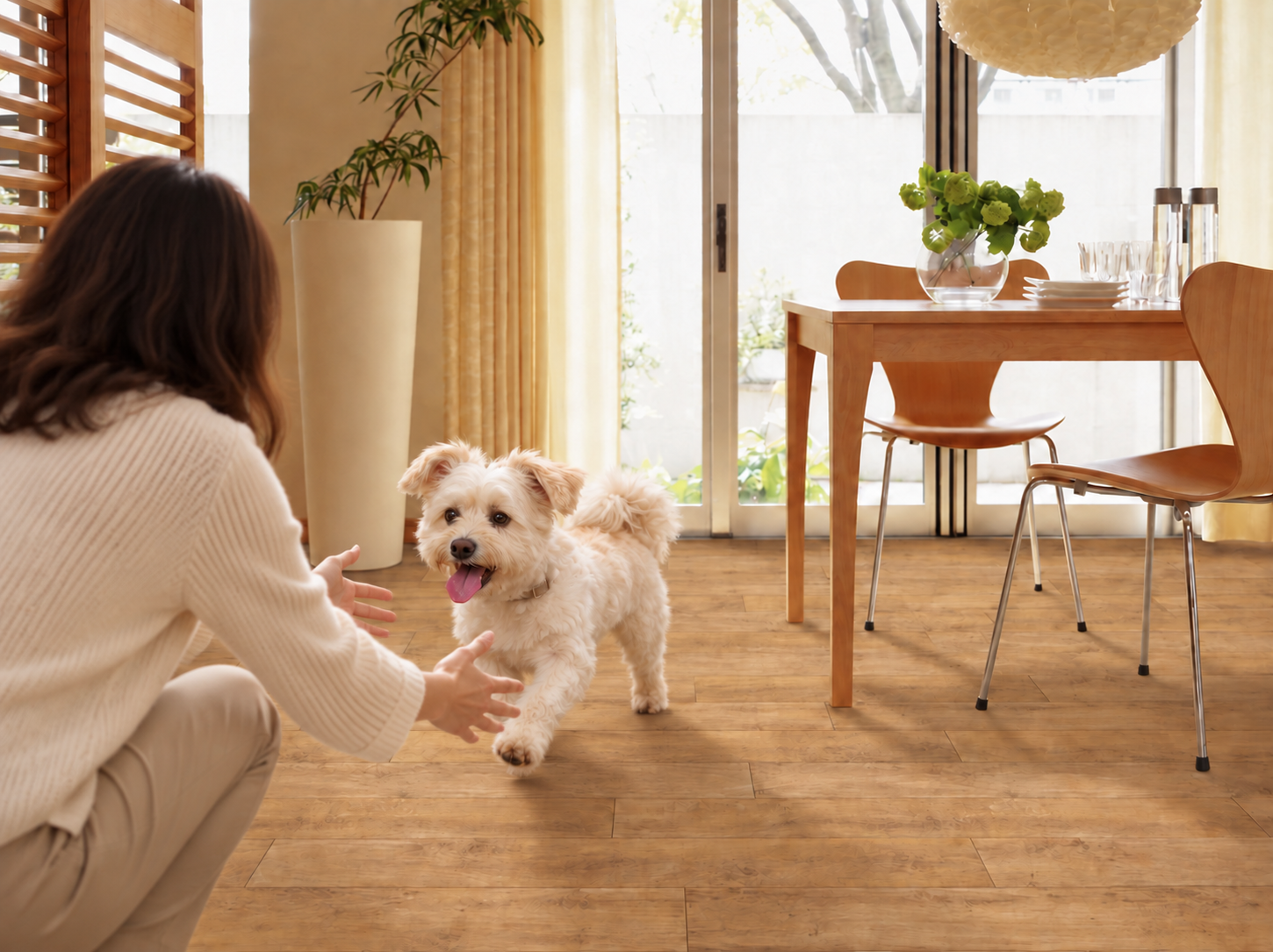 愛犬が部屋で滑る…そんなお悩みに!足腰にやさしいロボフロアーキャンペーン